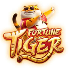 qual melhor horario para jogar tiger fortune ícone